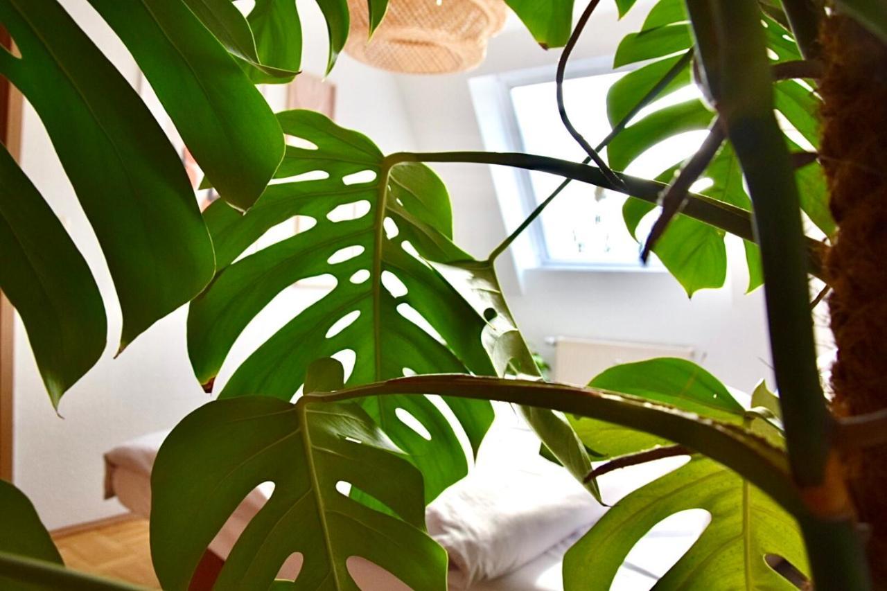 Greenbnbs: Cozy Urban Jungle In The City Centre Essen Exteriér fotografie