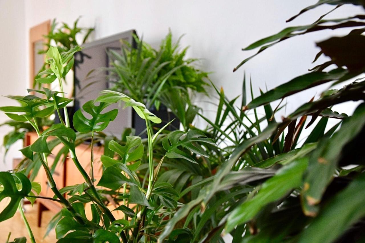 Greenbnbs: Cozy Urban Jungle In The City Centre Essen Exteriér fotografie