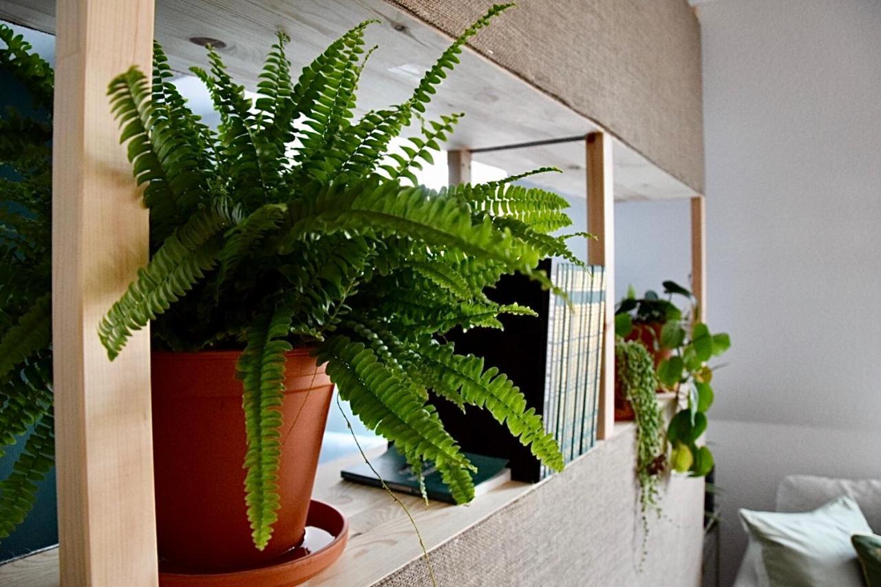 Greenbnbs: Cozy Urban Jungle In The City Centre Essen Exteriér fotografie
